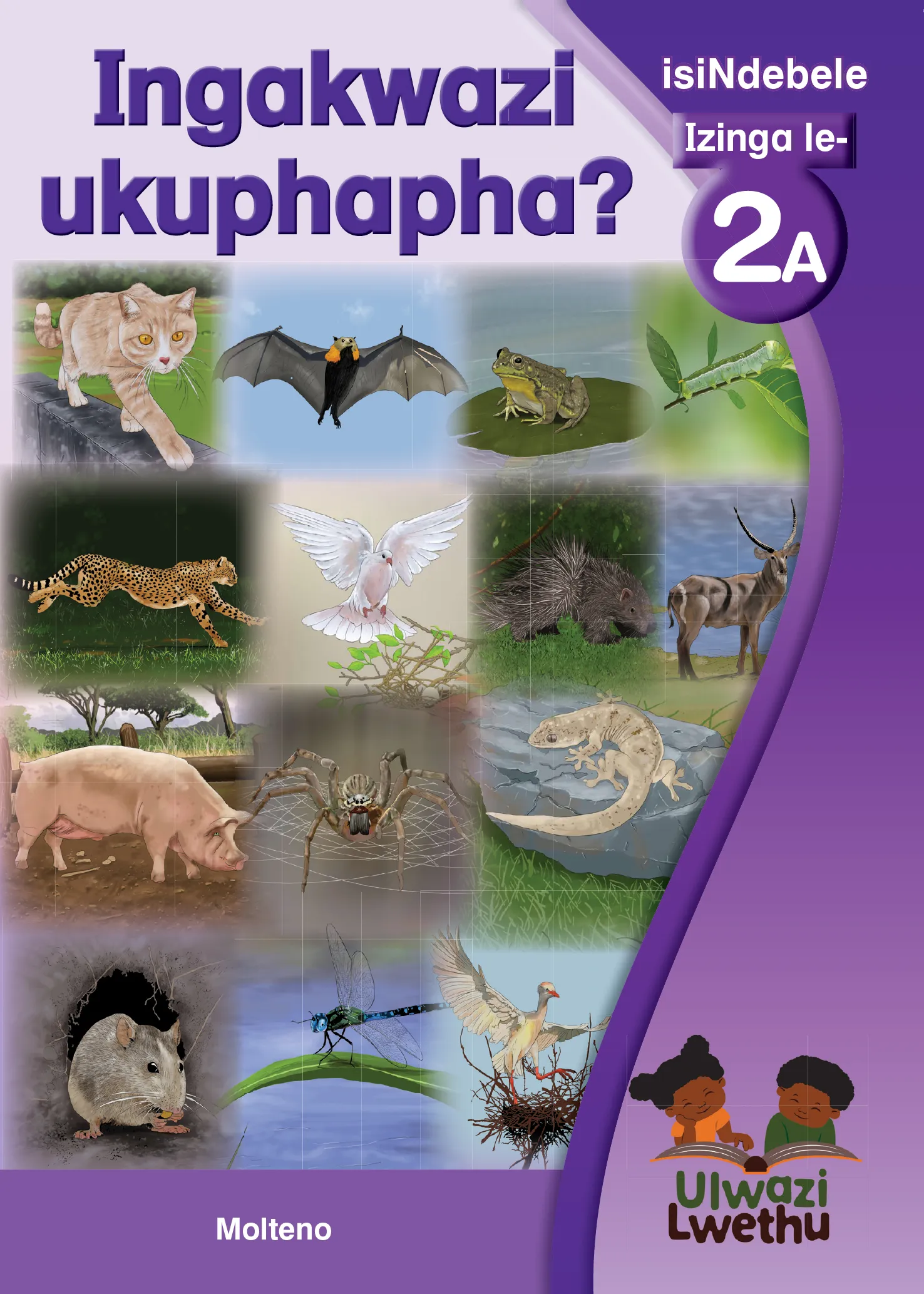 Ingakwazi ukuphapha? Ingakwazi ukuphapha?