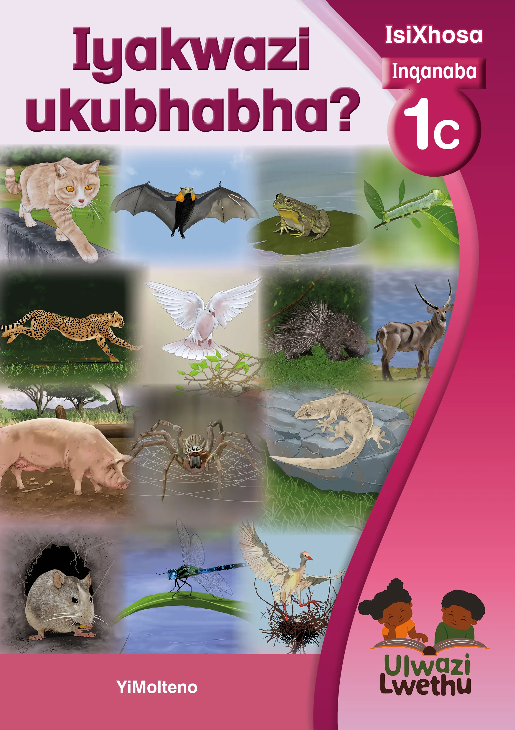 Iyakwazi ukubhabha? Iyakwazi ukubhabha?